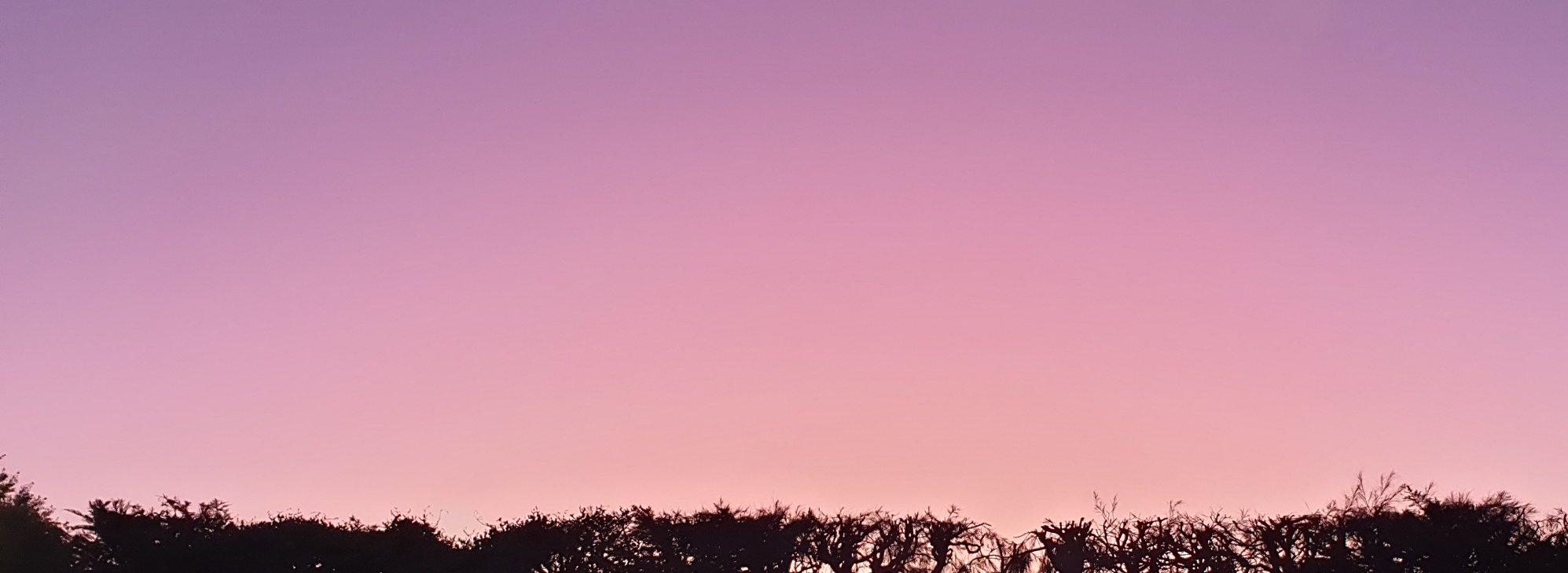 nature image