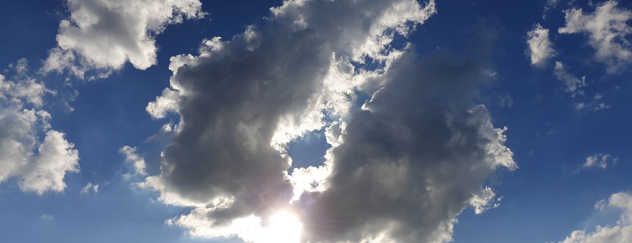 nature photo